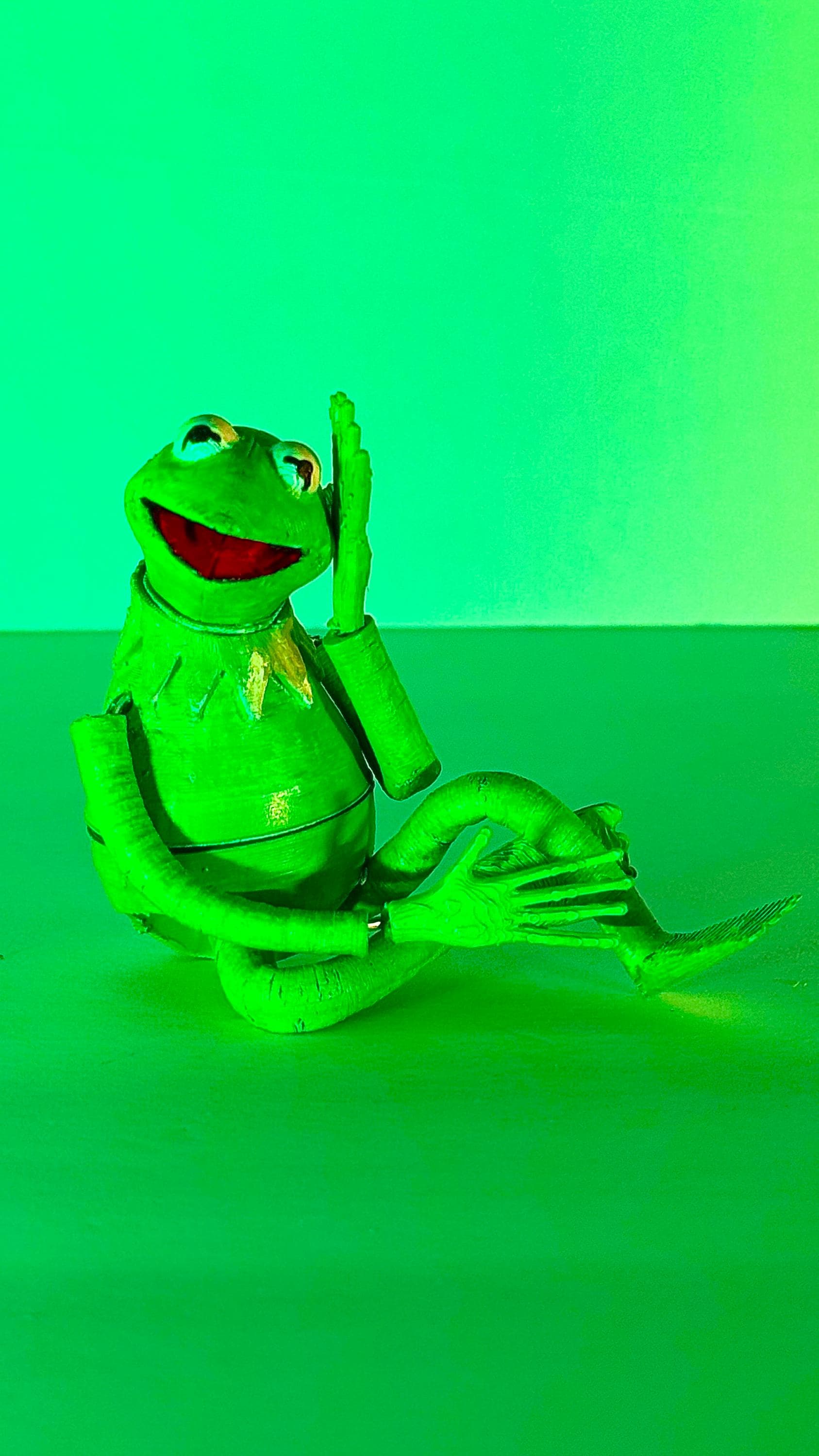 Kermit the Frog from The Muppets Action Figure