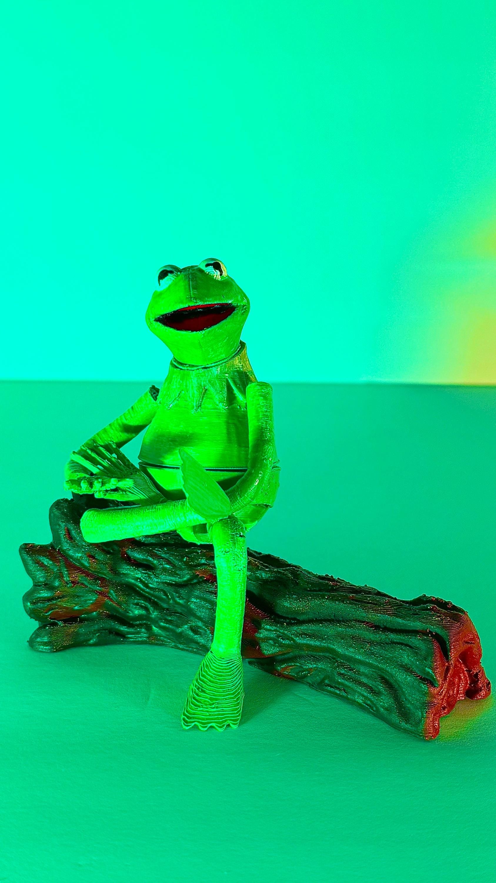 Kermit the Frog from The Muppets Action Figure