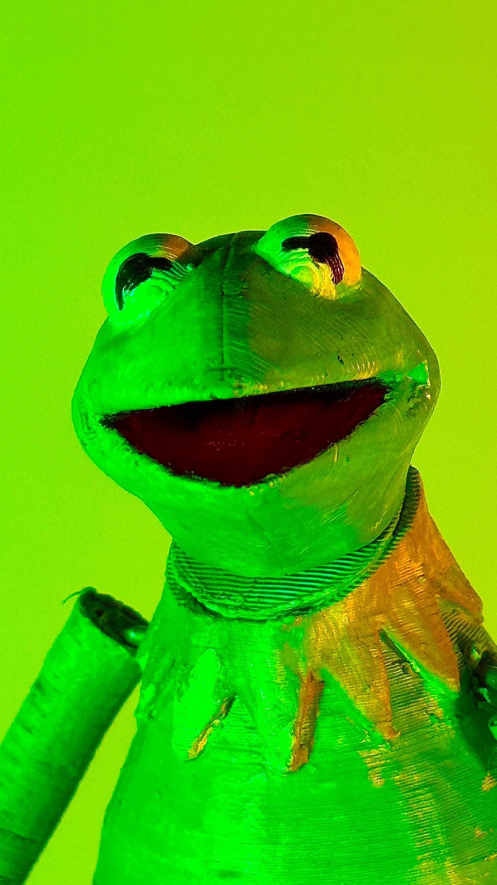 Kermit the Frog from The Muppets Action Figure