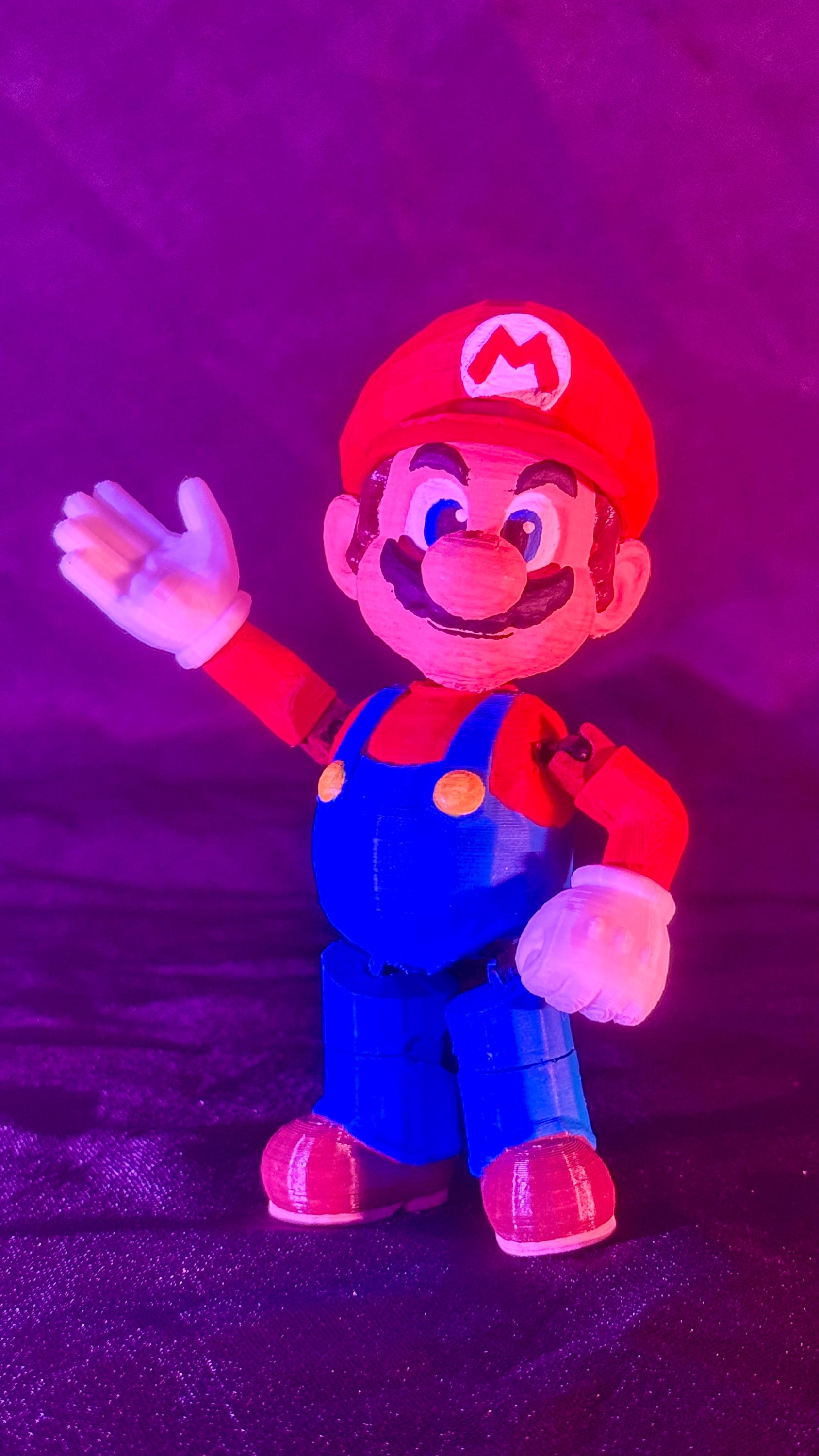 Mario from Nintendo Action Figure
