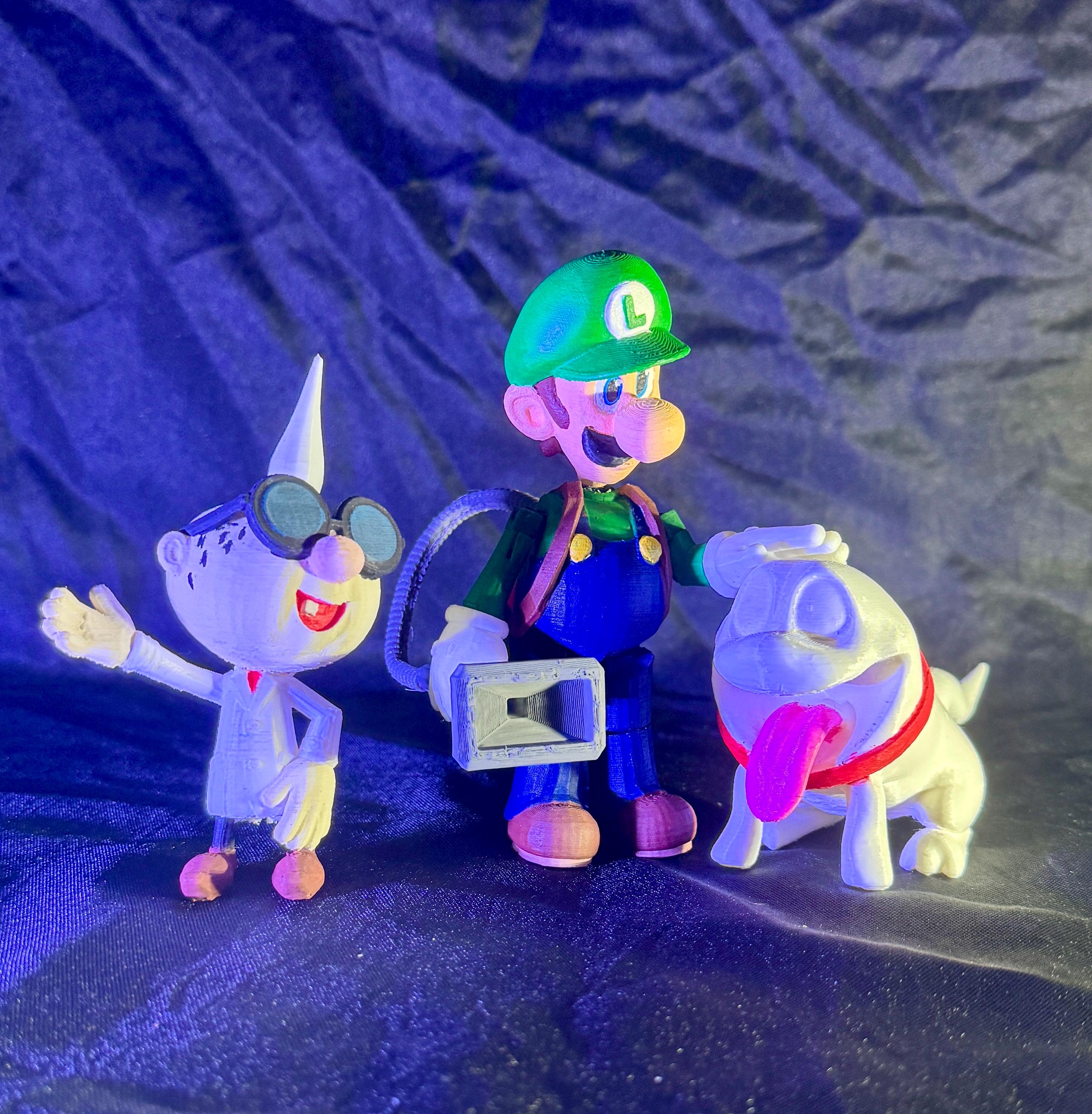 Luigi from Nintendo Action Figure