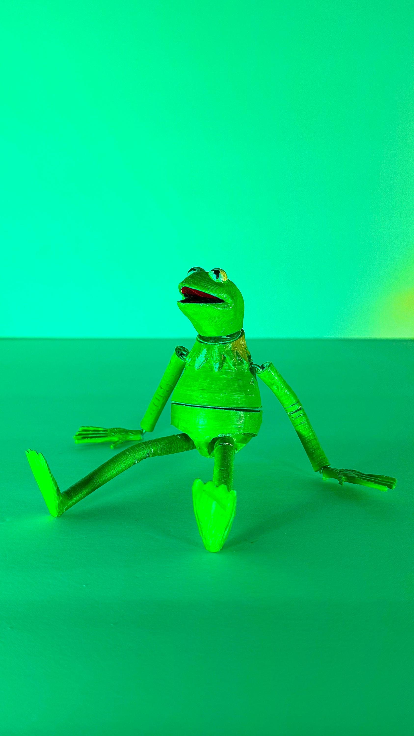 Kermit the Frog from The Muppets Action Figure